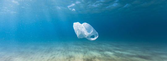 sostenibilità oceani plastica