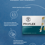 PROFLEX