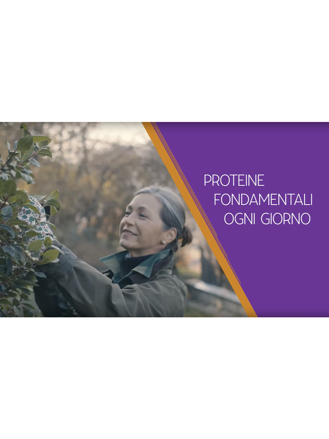 PROTEINE EVERYDAY – Farmacisti Preparatori