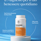 MAGNESIO ASSOLUTO